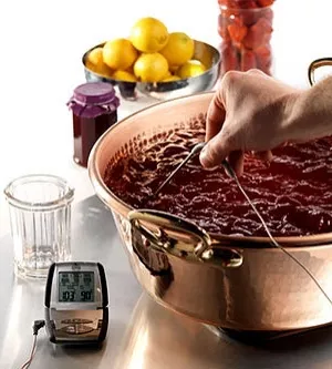 Thermomètre multifonctions Mastrad