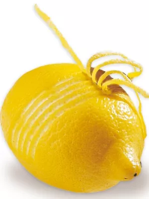 Zesteur Lion Sabatier