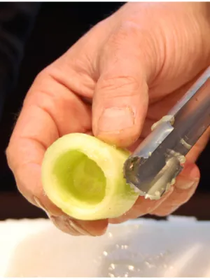 Extracteur "Universel Corer" DE BUYER