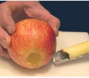 Extracteur "Universel Corer" DE BUYER