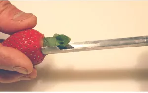 Extracteur "Universel Corer" DE BUYER