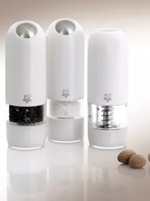 Moulin électrique Peugeot Alaska