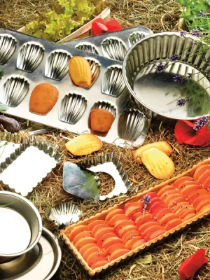 Moule tartelette carrée fer blanc Gobel