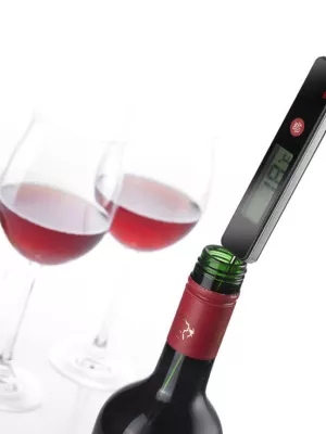 Thermomètre électronique Westmark