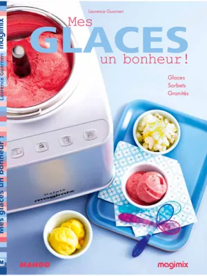 Turbine à glace Gelato Expert Magimix