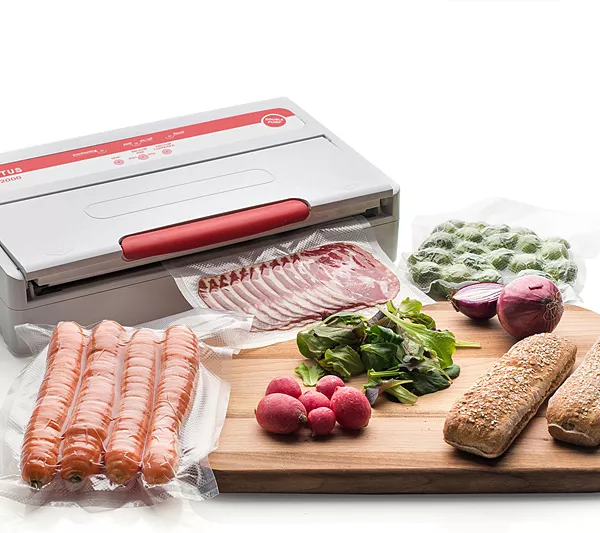 Produit Machine à emballer sous vide Pro Tellier NV 400 Image