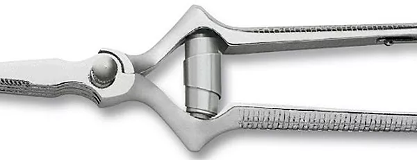 Produit Masticateur Chrome Roger Orfevre Image