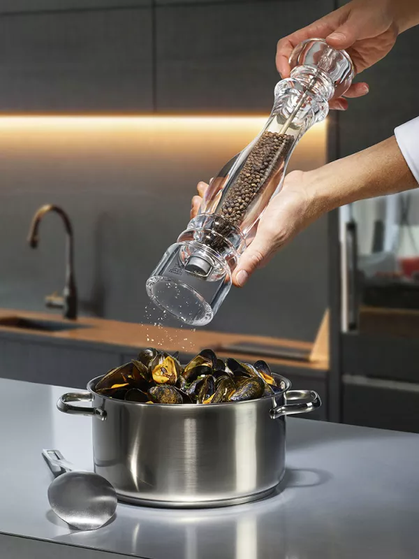 Produit Moulin Peugeot Nancy Image