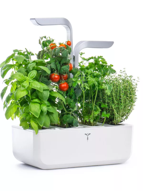 Produit Potager d'intérieur Véritable Classic Image