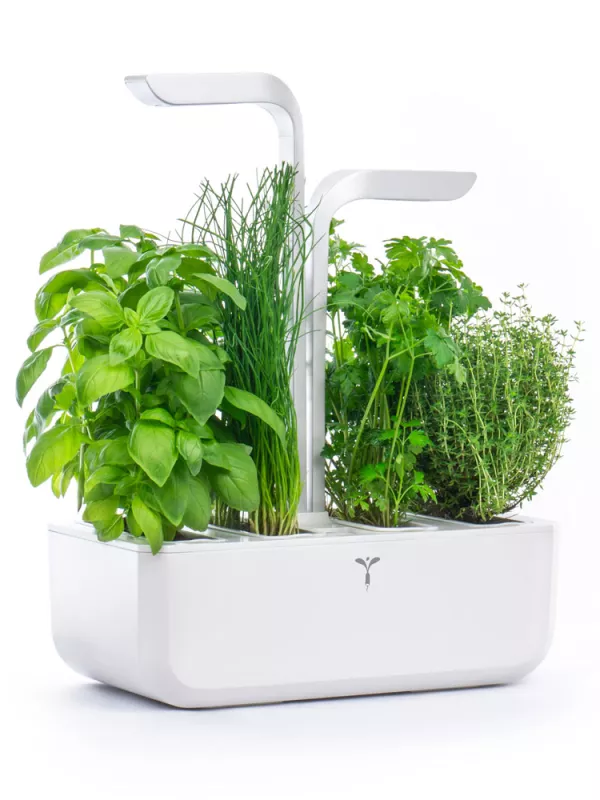 Produit Potager d'intérieur Véritable Smart Edition Image