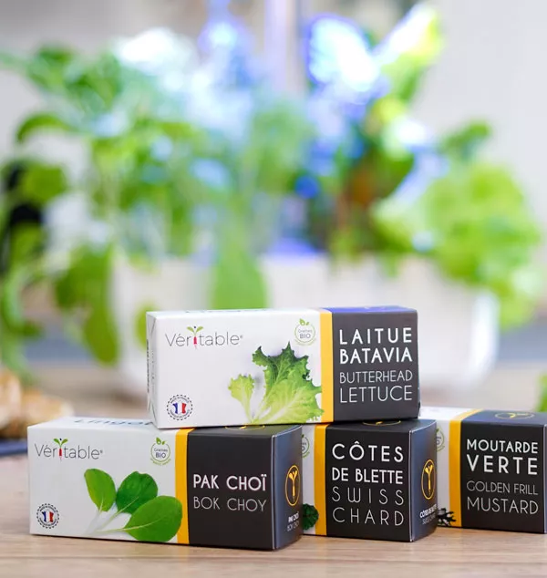 Produit Lingots Potager Véritable Image