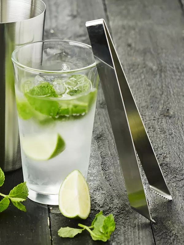 Produit Pince à Glaçons Inox Point Virgule Image