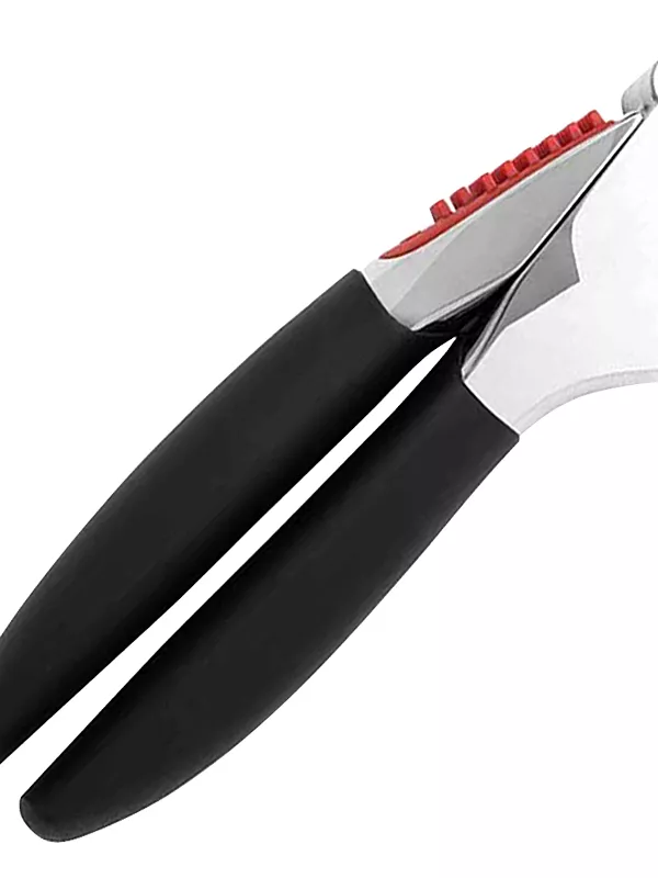 Produit Presse-Ail Oxo Image