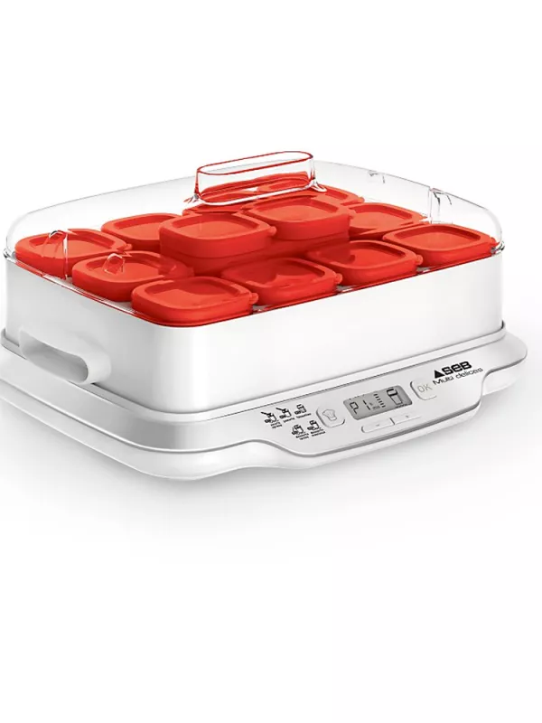 Produit Yaourtière Multidélices Express 12 pots SEB Image