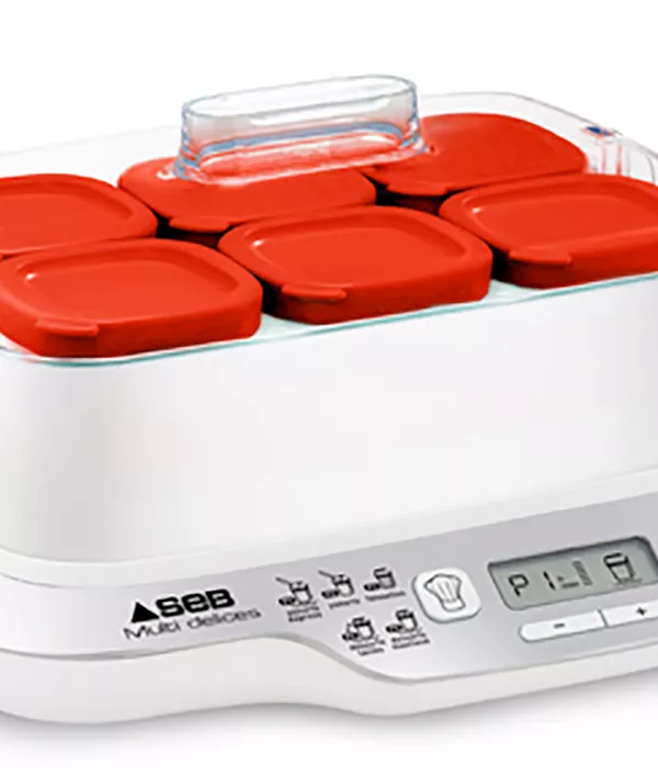 Produit Yaourtière Multidélices Express 6 pots SEB Image