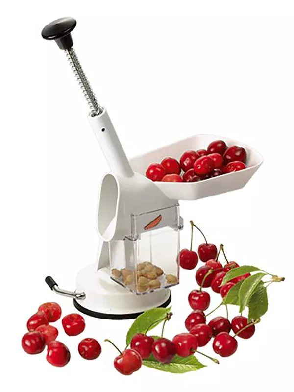 Produit Dénoyauteur à cerise automatique Louis Tellier Image