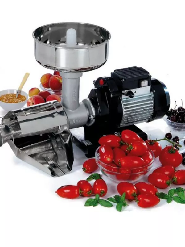 Produit Moulin à Tomates Electrique Reber Image