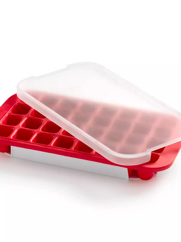 Produit Bac à Glaçons Maxi + Couvercle Lékué Image