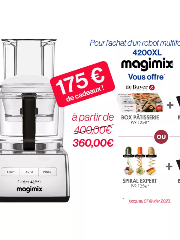 Produit Robot Magimix 4200 XL Image