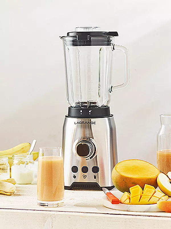 Produit Blender Inox Lagrange Image