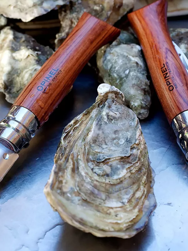 Produit Couteau à Huîtres & coquillages Opinel n°09 Image