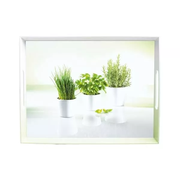 Produit Plateau de service Emsa décor "Herbes" Image